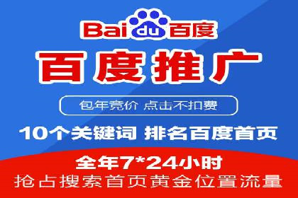 竞价推广策略：某电商平台的成功案例